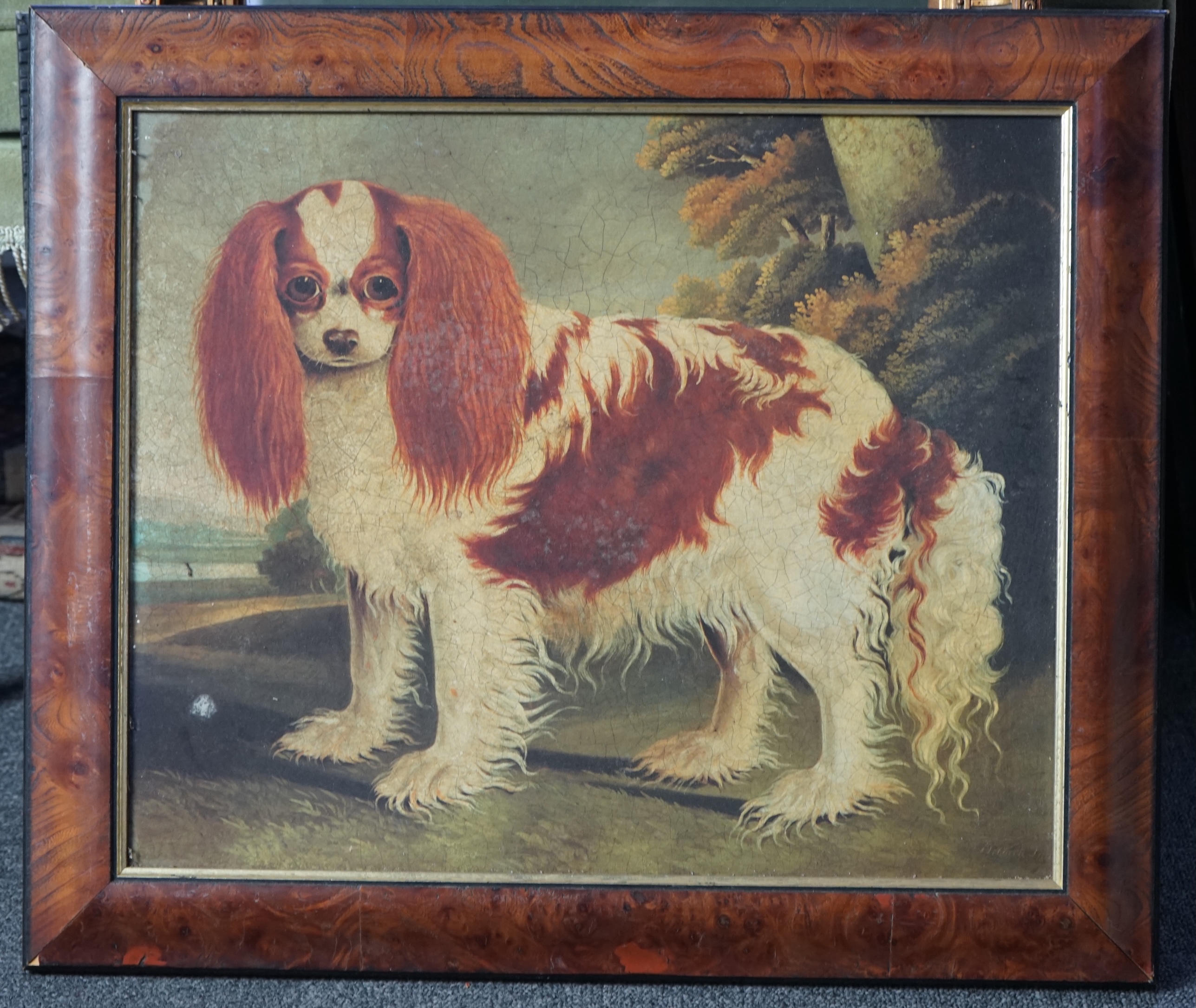 A L Clarke, Primitive style study of a spaniel, oil on card